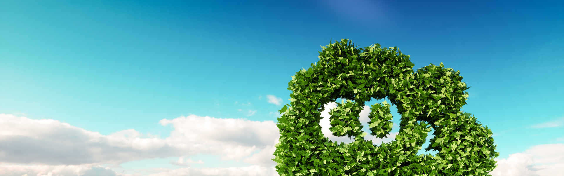 Konzept zur Begrenzung der Kohlendioxid-Emissionen. 3D-Rendering einer CO2-Wolke auf einer frischen Frühlingswiese mit blauem Himmel im Hintergrund.